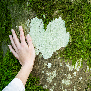 Act Beautifule_month