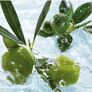 Hab-és tusfürdő; Olíva-Keserűnarancs