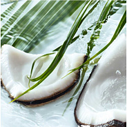 Kézmosó gél; Kókuszdió