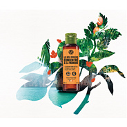 Tusfürdő koncentrátum - Mangó